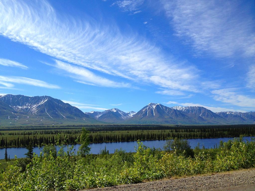 Denali Cabins Villa Denali Park Exterior foto